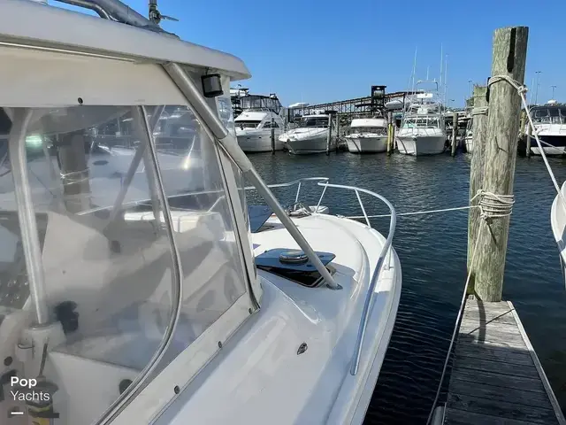 Luhrs 290 Open