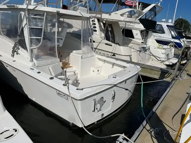 Luhrs 290 Open