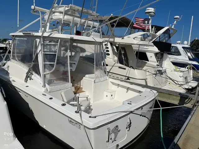 Luhrs 290 Open