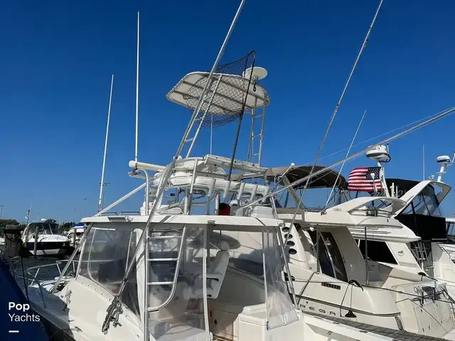 Luhrs 290 Open