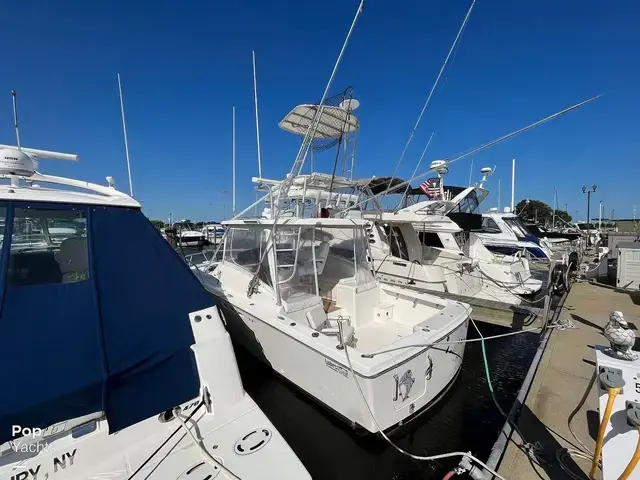 Luhrs 290 Open