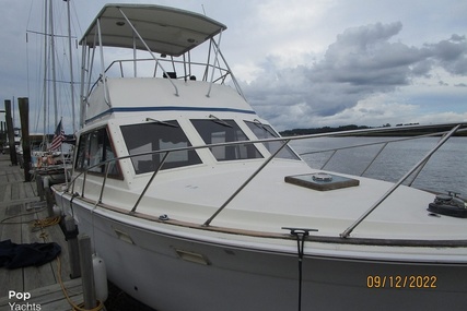 Egg Harbor 33' Sedan