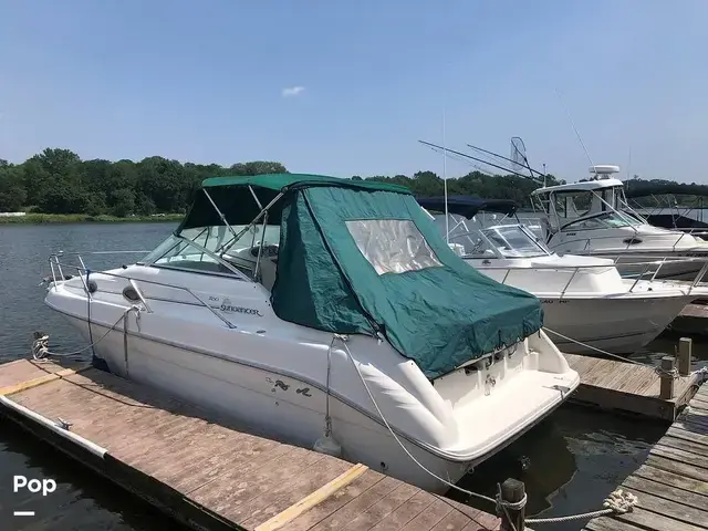 Sea Ray 250 Sundancer