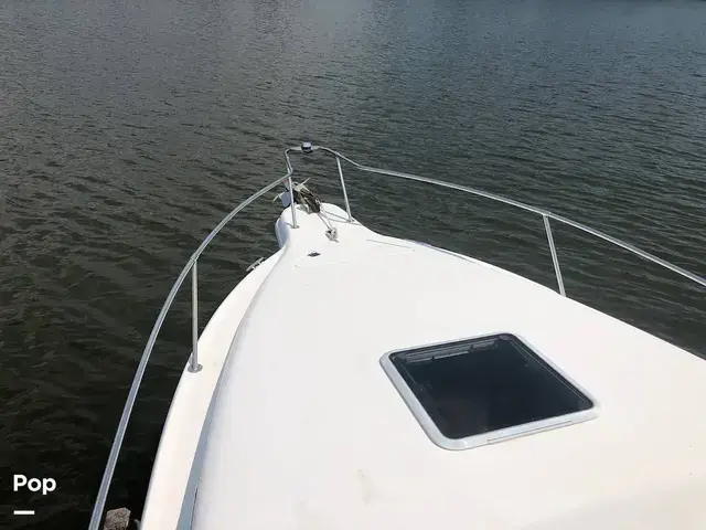 Sea Ray 250 Sundancer