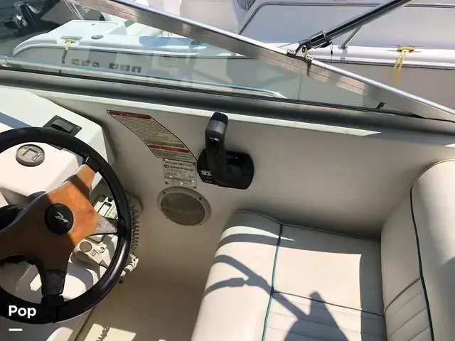 Sea Ray 250 Sundancer