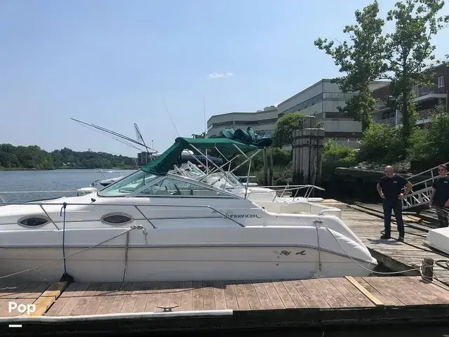 Sea Ray 250 Sundancer