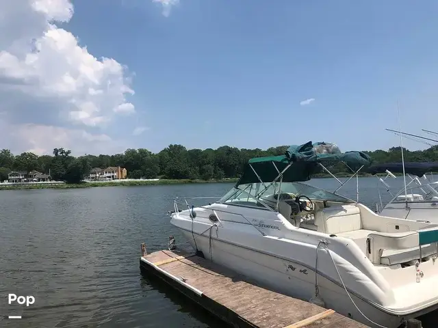 Sea Ray 250 Sundancer