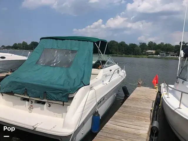 Sea Ray 250 Sundancer