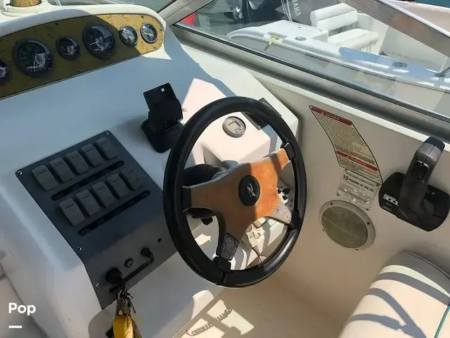 Sea Ray 250 Sundancer