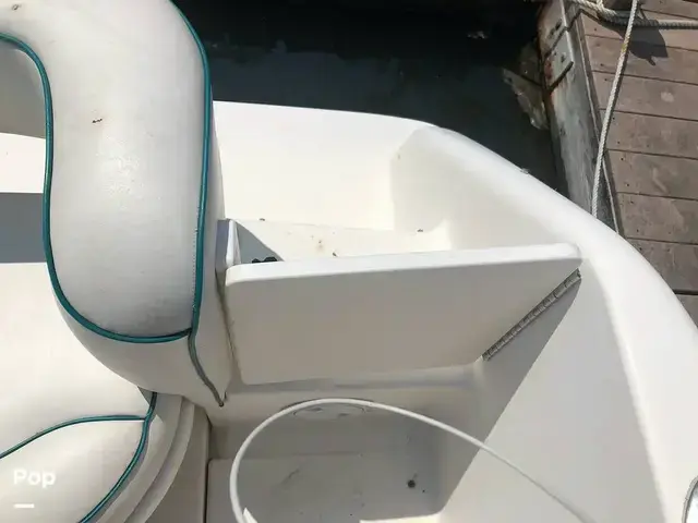 Sea Ray 250 Sundancer