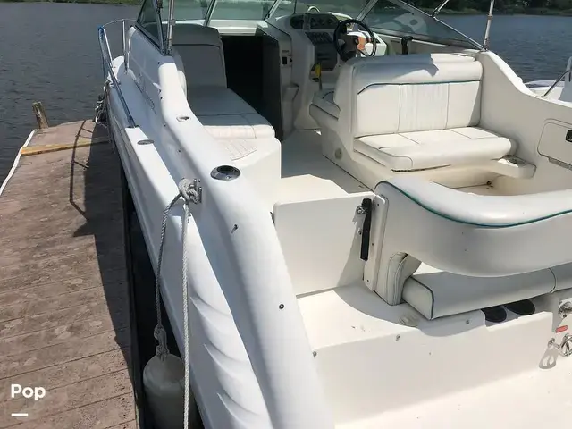 Sea Ray 250 Sundancer