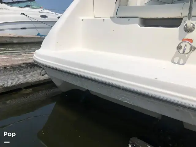 Sea Ray 250 Sundancer