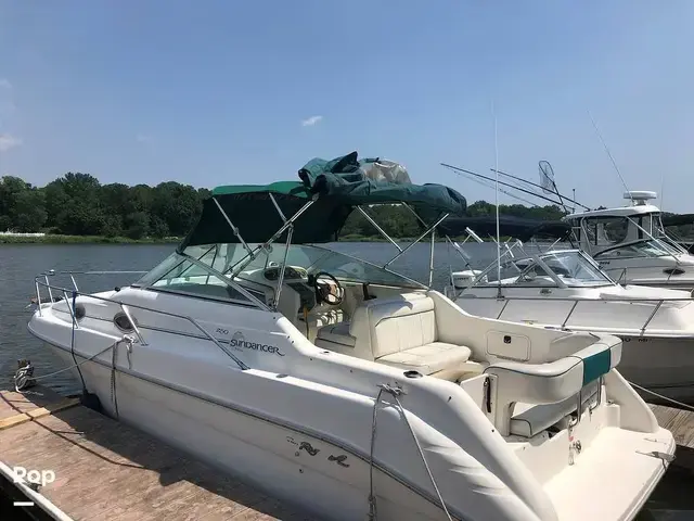 Sea Ray 250 Sundancer