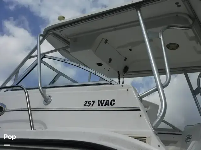 Baha Cruisers 257 Wac