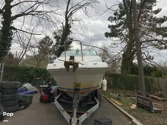 Sea Ray 250 Sundancer