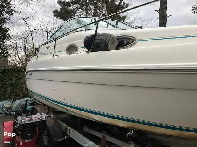 Sea Ray 250 Sundancer