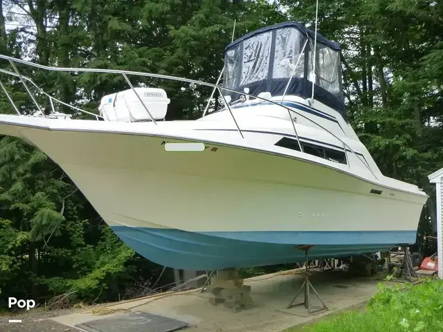 Sea Fox Boats 29