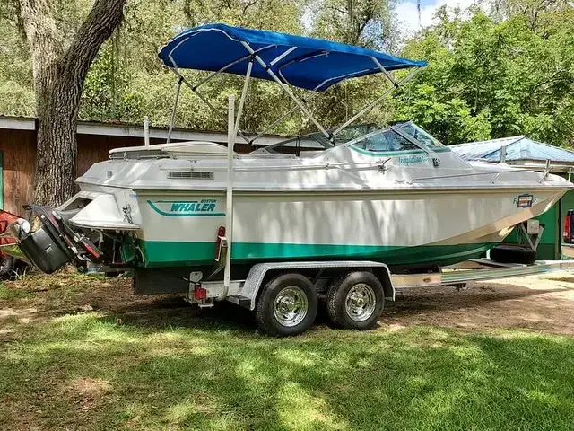 Boston Whaler 2200 Temptation Mpfi