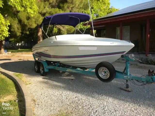 Baja HAMMER 21