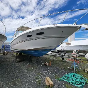 1999 Sea Ray Sundancer 310