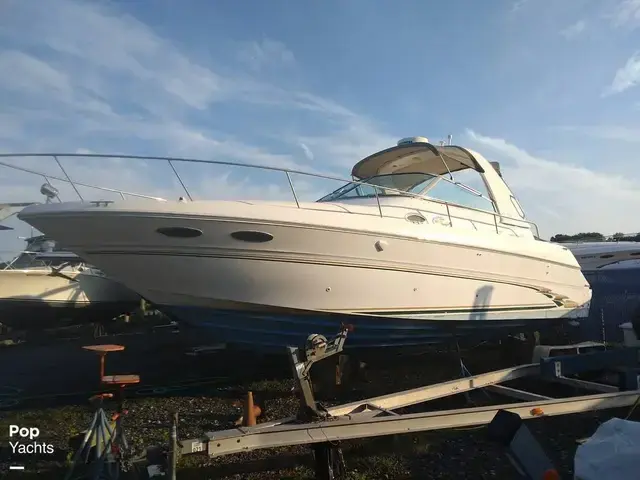 Sea Ray Sundancer 310