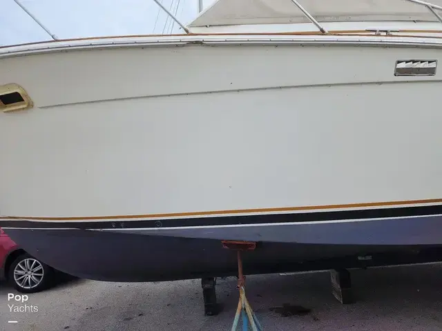 Egg Harbor 33 Convertible