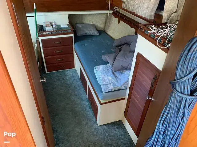 Tollycraft 34 Tri Cabin