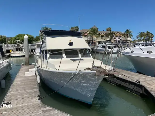 Tollycraft 34 Tri Cabin