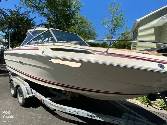 Sea Ray SV210