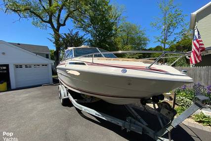 Sea Ray SV210