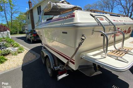 Sea Ray SV210