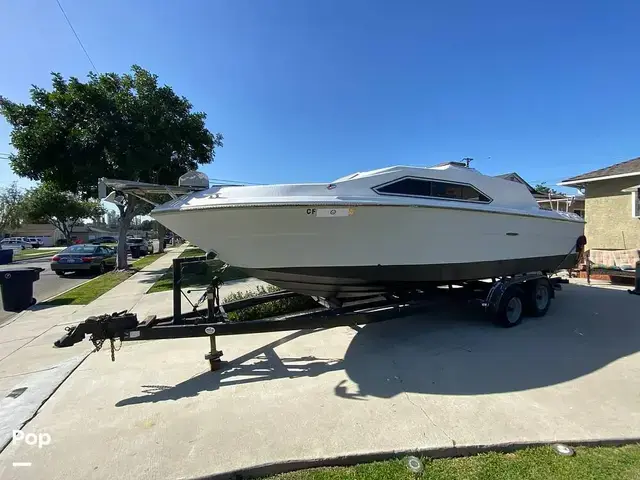 Sea Ray Sundancer 245