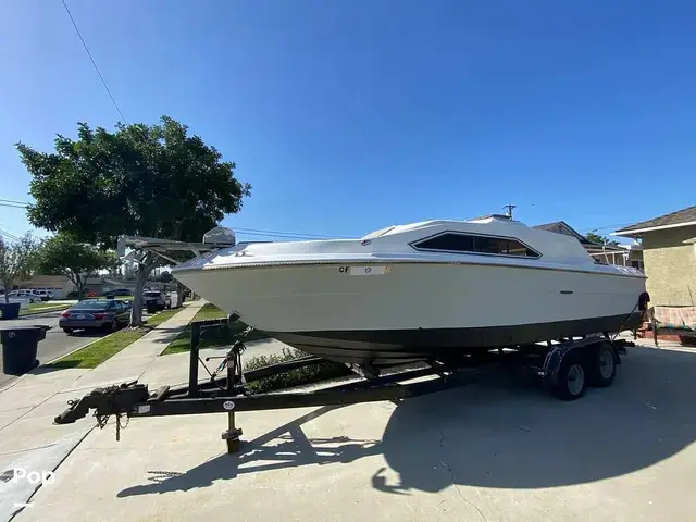 Sea Ray 245 Sundancer