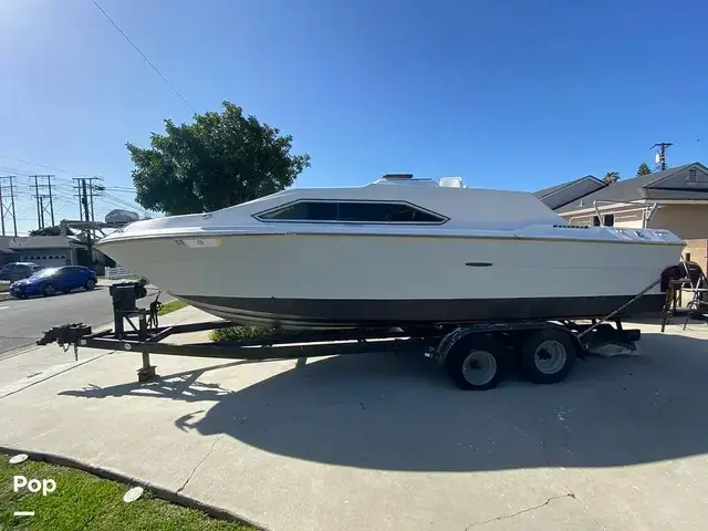 Sea Ray 245 Sundancer