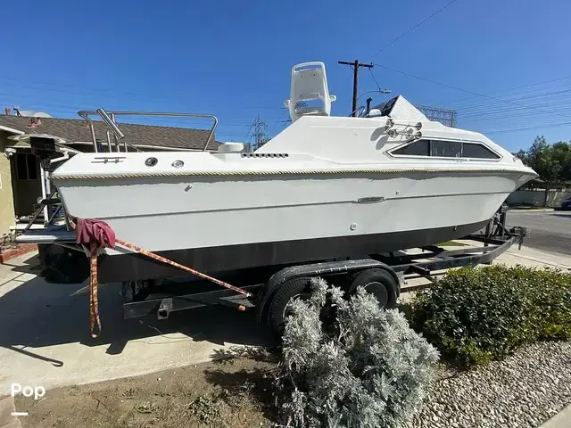 Sea Ray 245 Sundancer