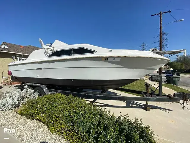 Sea Ray 245 Sundancer