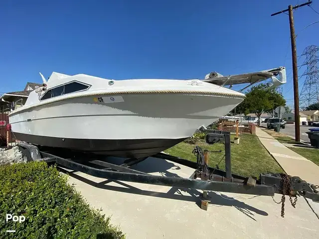 Sea Ray 245 Sundancer