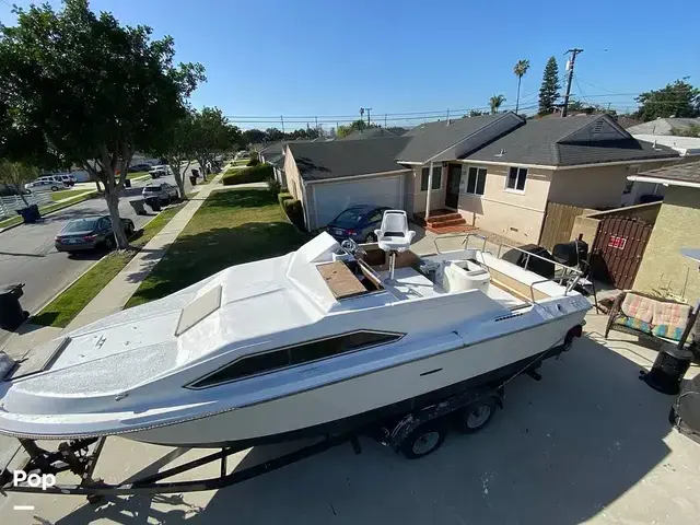 Sea Ray 245 Sundancer