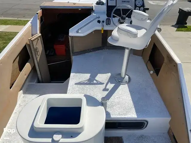 Sea Ray 245 Sundancer