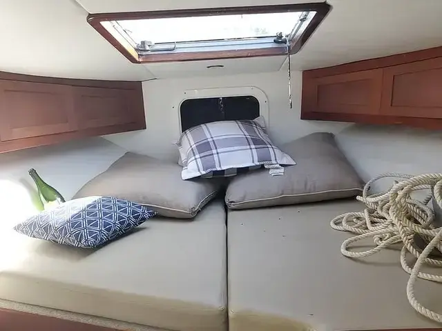 Chaparral Signature 30