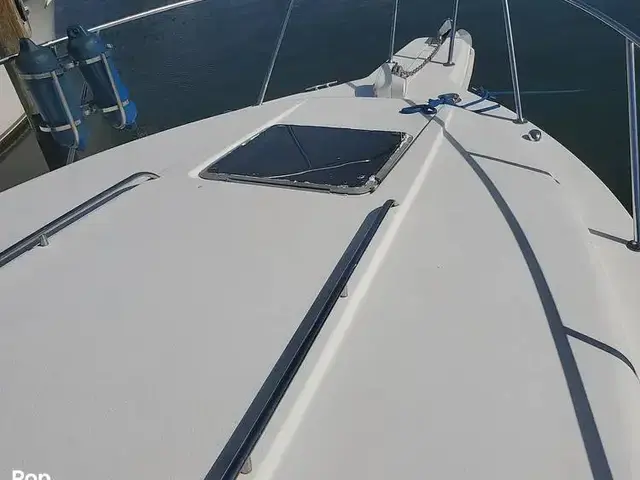 Chaparral Signature 30