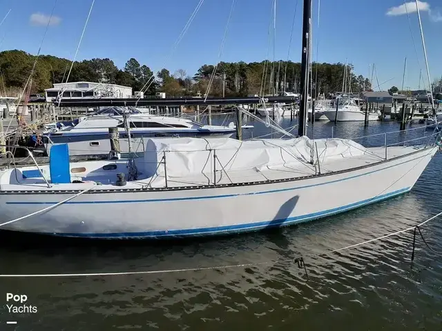 Nightwind 35 Pathfinder