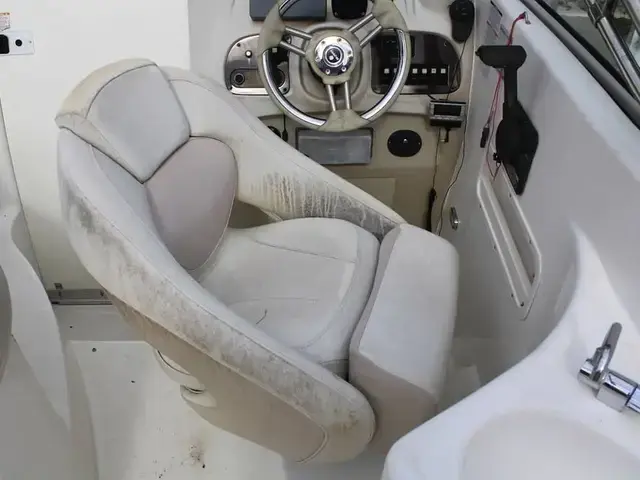 Chaparral 260 Signature