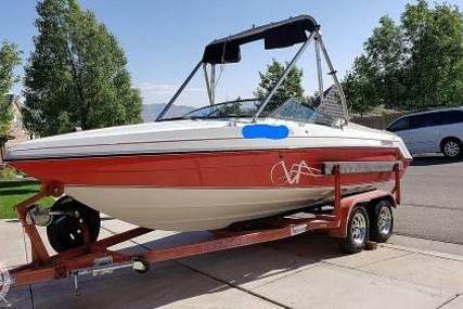 Rinker V206 Captiva