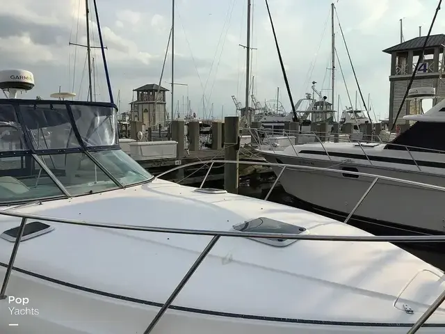 Rinker 312 Fiesta Vee