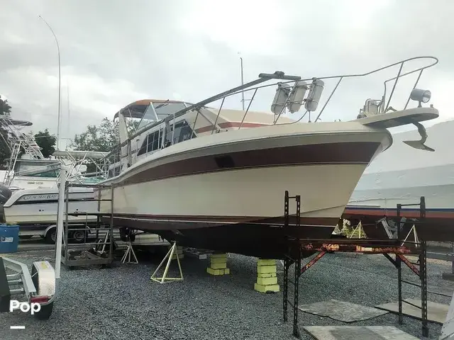 Chris Craft Catalina 381