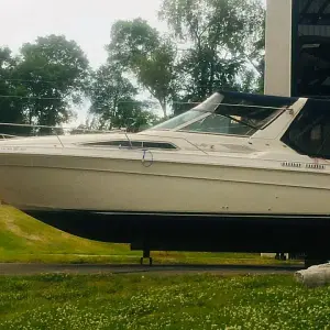 1992 Sea Ray Sundancer 300