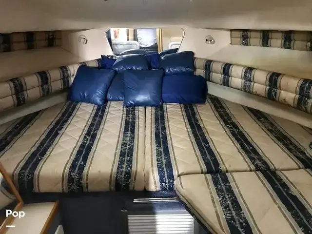 Sea Ray Sundancer 300