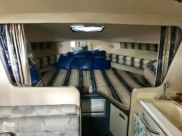 Sea Ray Sundancer 300