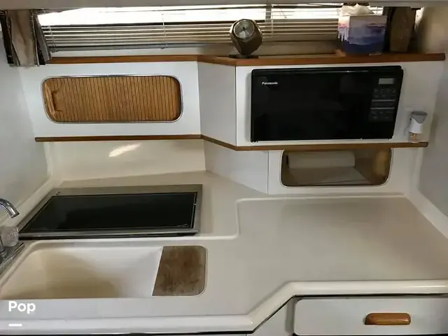 Sea Ray Sundancer 300